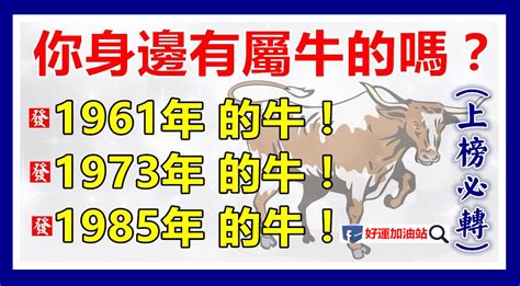 1961生肖配對|【1961生肖配對】1961生肖配對：屬牛者命定的福運良緣！ – 每。